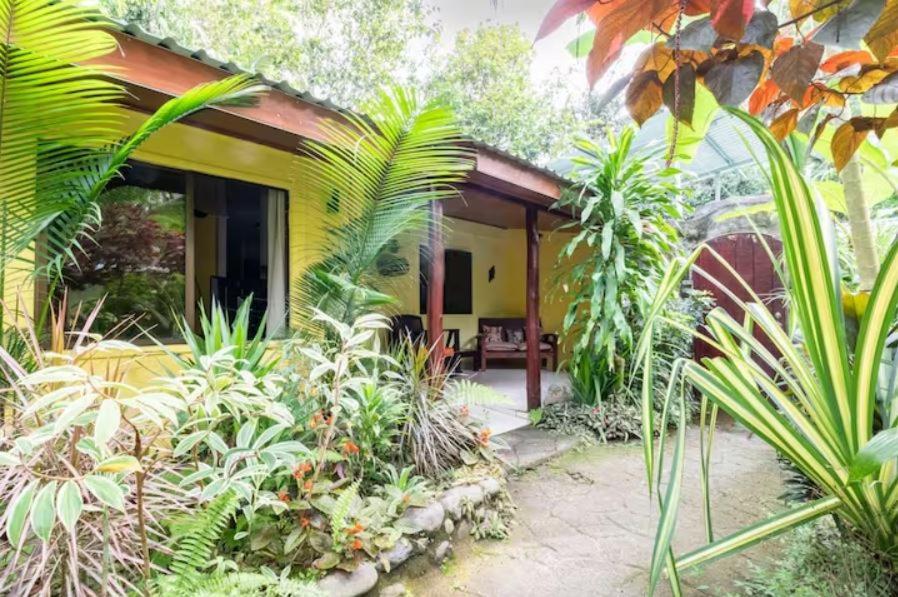 卡维塔 Casa Caribbean Coconut酒店 外观 照片
